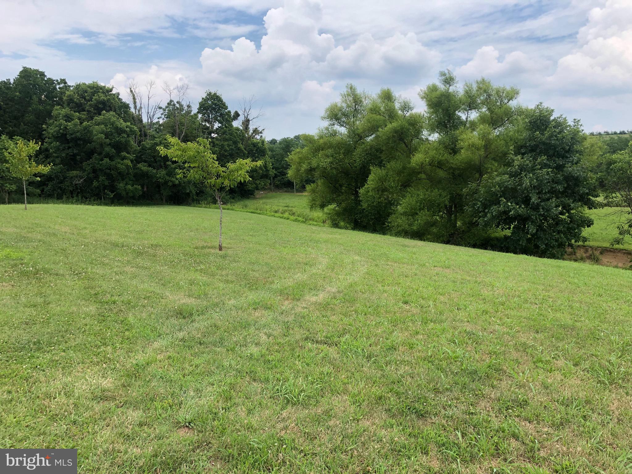 629 Dominion Road Gerrardstown, WV 25420 - Photo 7 of 39 Side yard