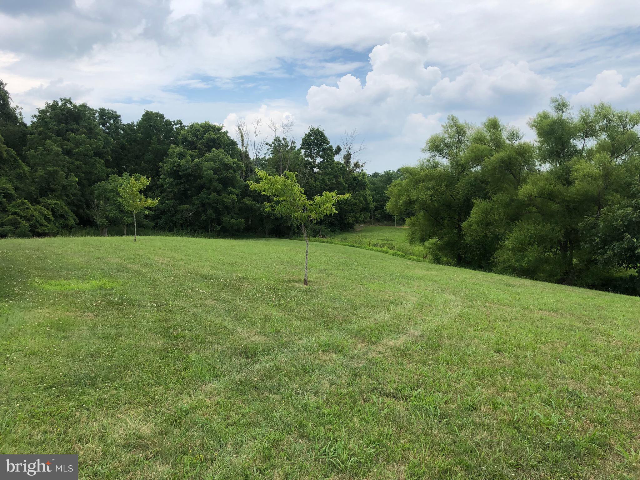 629 Dominion Road Gerrardstown, WV 25420 - Photo 8 of 39 yard