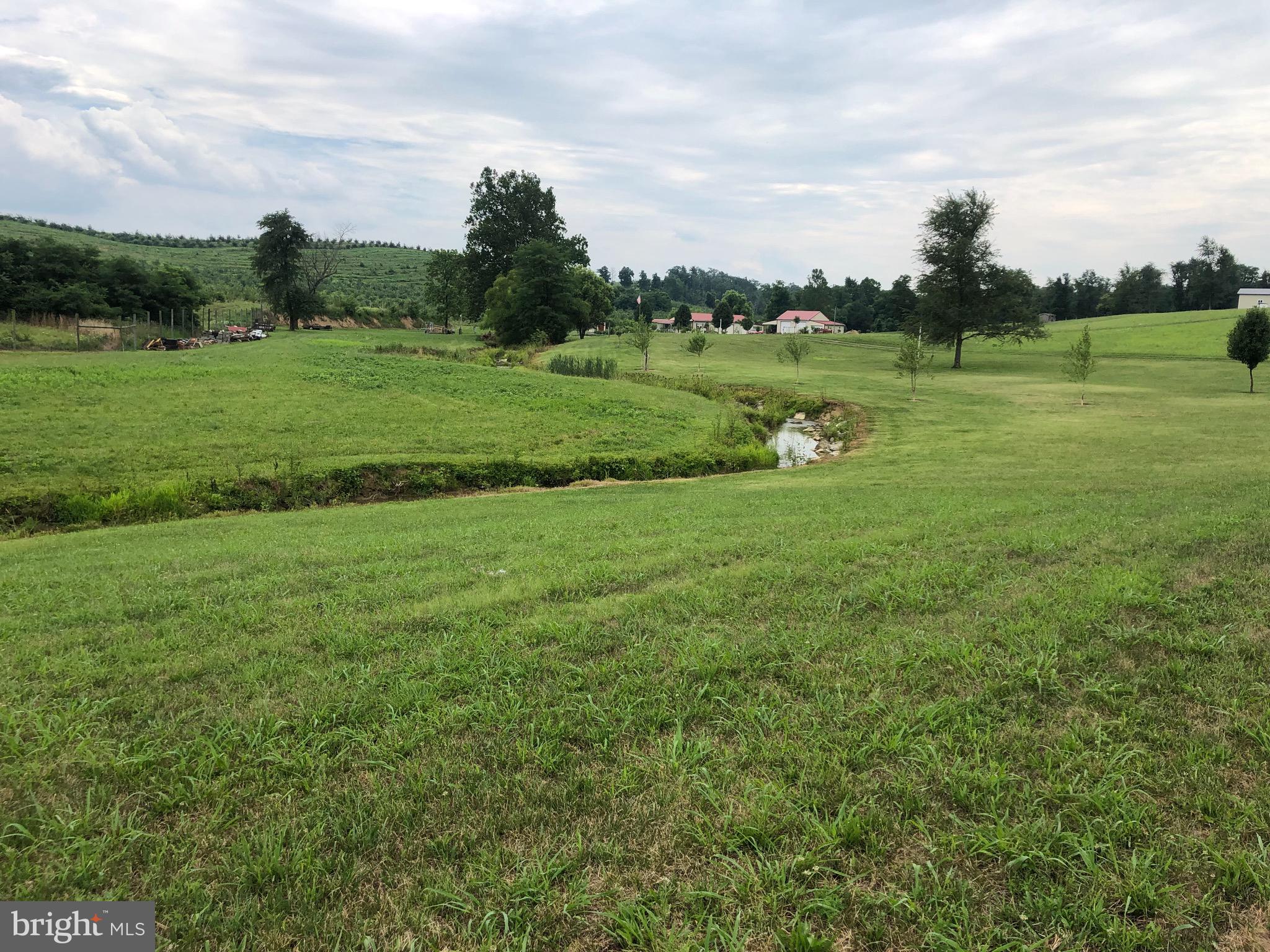 629 Dominion Road Gerrardstown, WV 25420 - Photo 9 of 39 Back yard