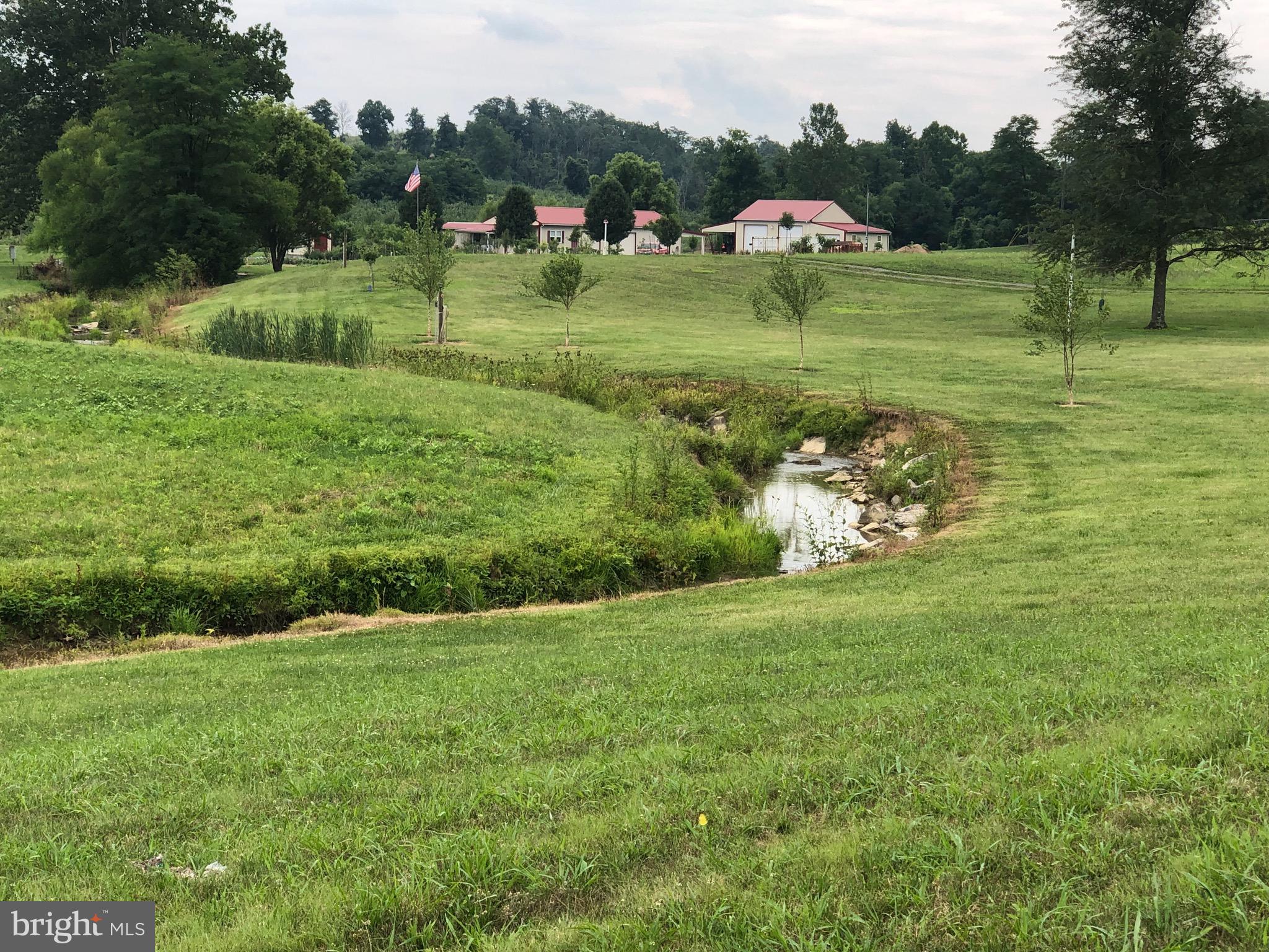 629 Dominion Road Gerrardstown, WV 25420 - Photo 10 of 39 Wet weather stream