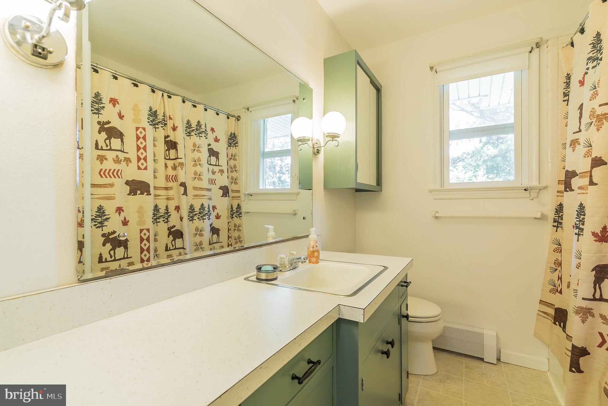360 Clothier Springs Road Phoenixville, PA 19460 - Photo 22 of 35 Bathroom