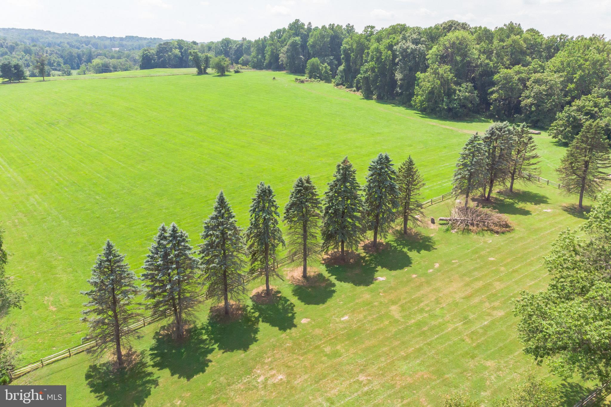 360 Clothier Springs Road Phoenixville, PA 19460 - Photo 8 of 35 View from Property (Pine Trees=Property Boundary)