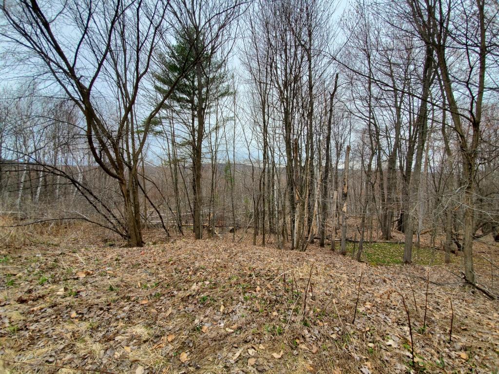 386 Old Jay Hill Road Jay, ME 04239 - Photo 1 of 6 20190501_162346MLS