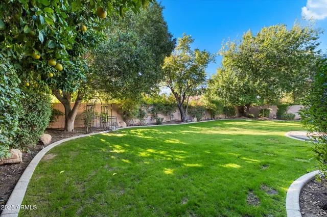 a view of garden with trees