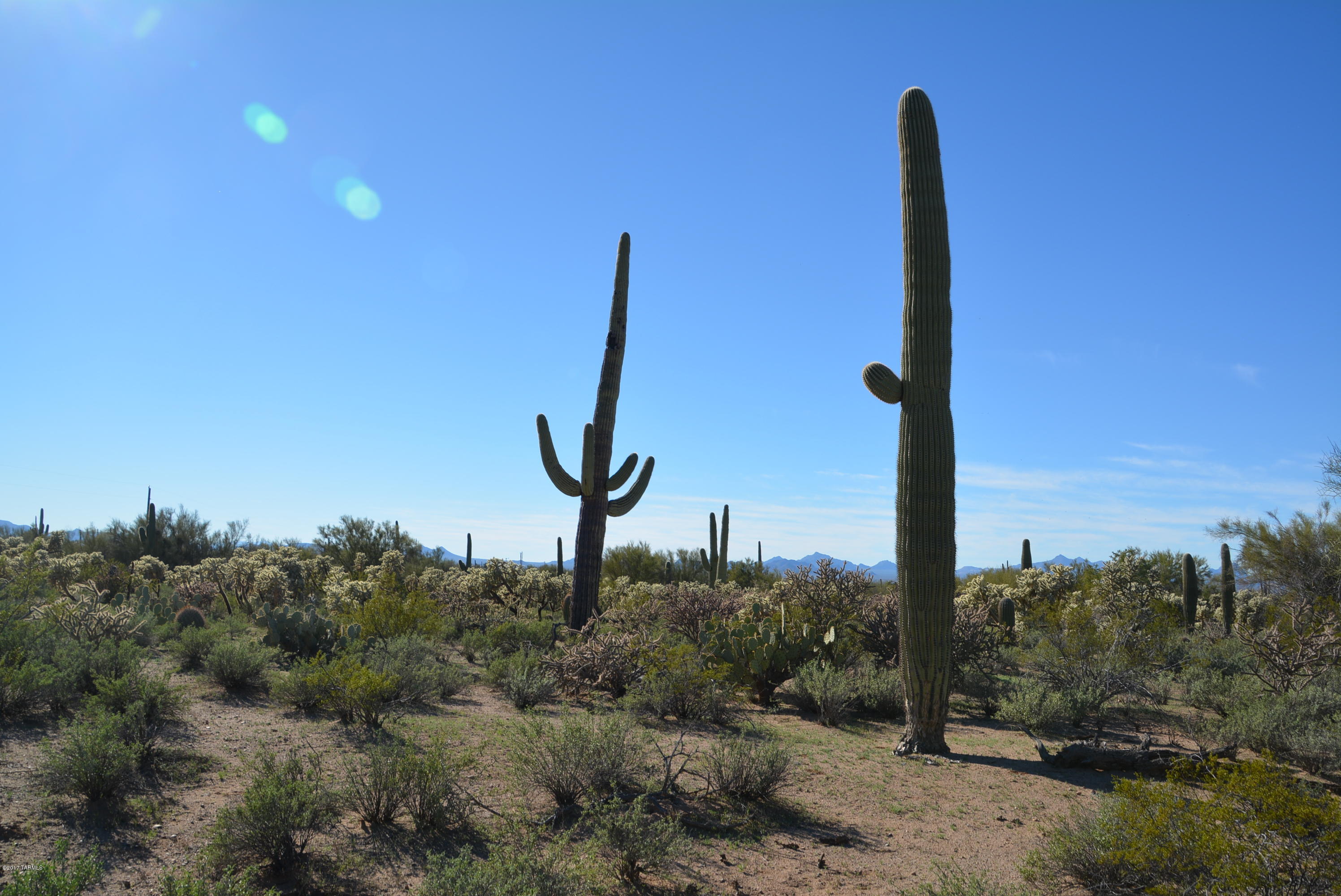 11700 West Rudasill Road, Unit LOT 4 Tucson, AZ 85743 - Photo 17 of 33