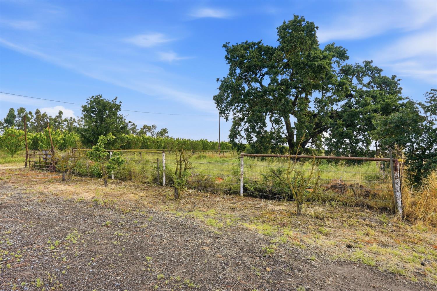 20042 North Ray Road Lodi, CA 95242 - Photo 55 of 64
