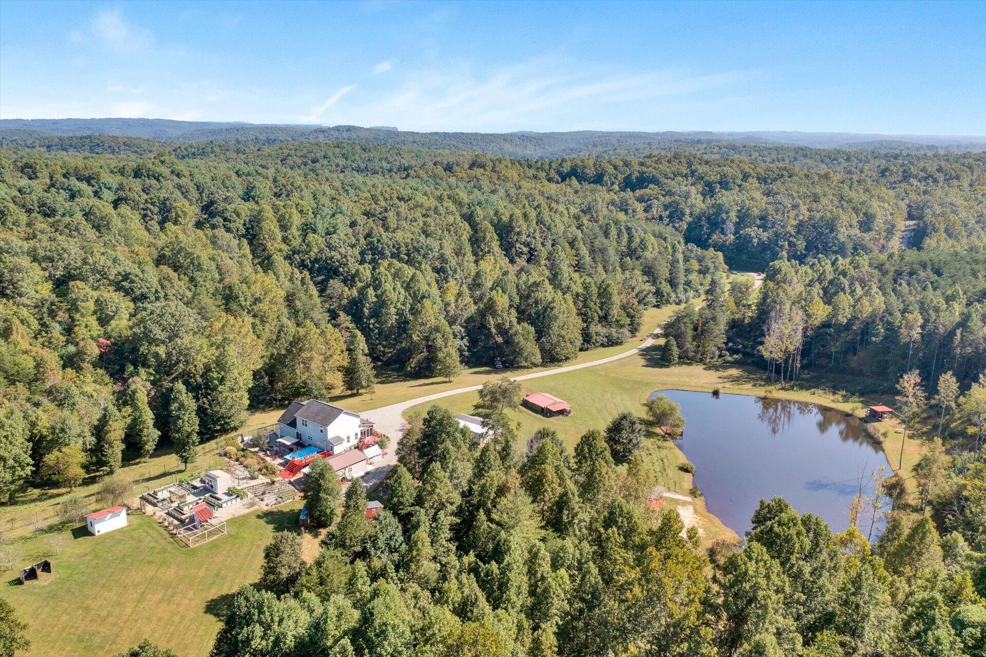 1056 Horseshoe Point Road Henry, VA 24102 - Photo 5 of 102 a view of a yard