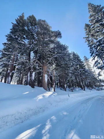 a view of some trees with wooden fence