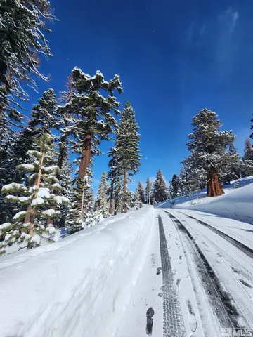 a view of a dry yard