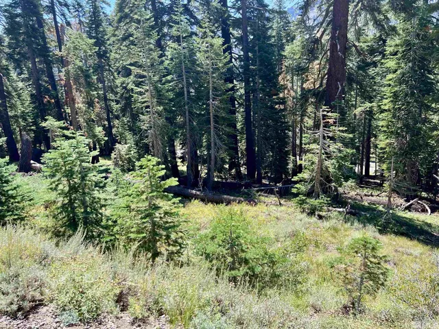 $149,000 | 529 East Meadows Drive, Unit 306, Kirkwood, CA 95646