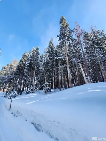 a view of basketball court