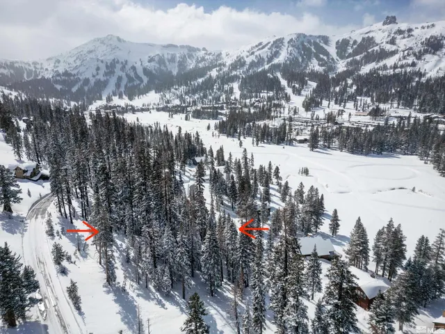 a view of a yard of snow on the roadside