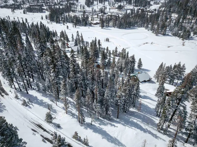 a view of a forest covered with snow