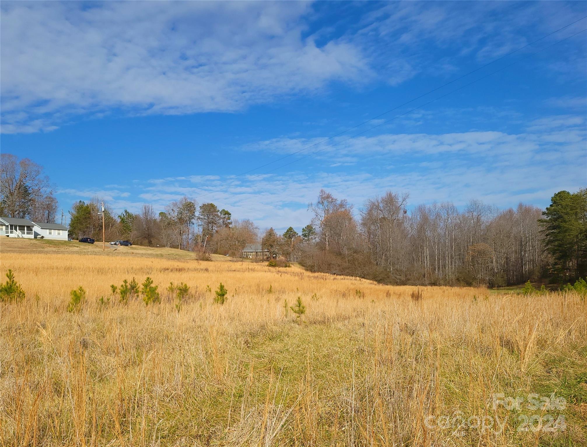 0 Herbert Page Road Tryon, NC 28782 - Photo 4 of 13 a view of lake with mountain in the background