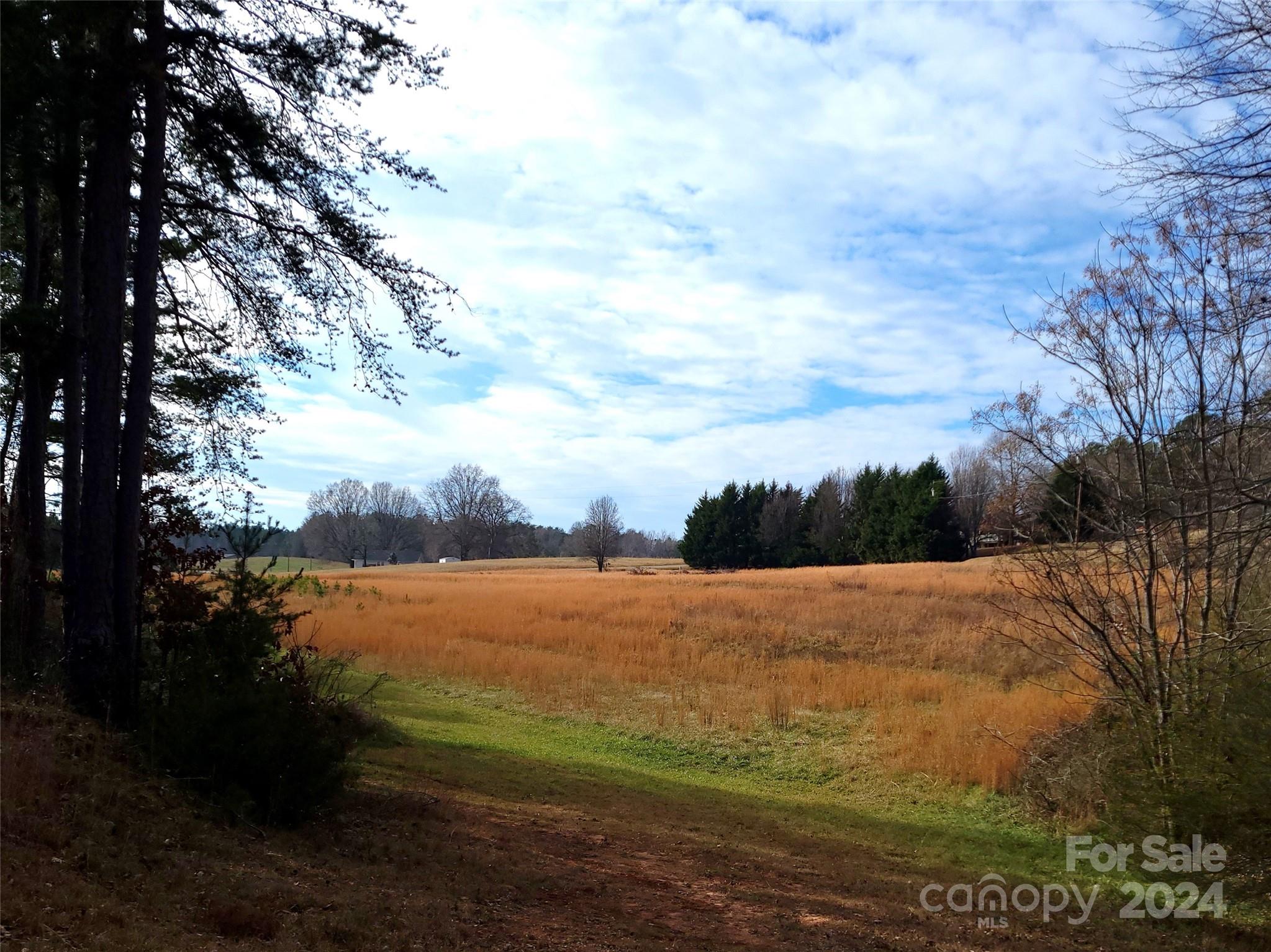 0 Herbert Page Road Tryon, NC 28782 - Photo 7 of 13 a view of an outdoor space