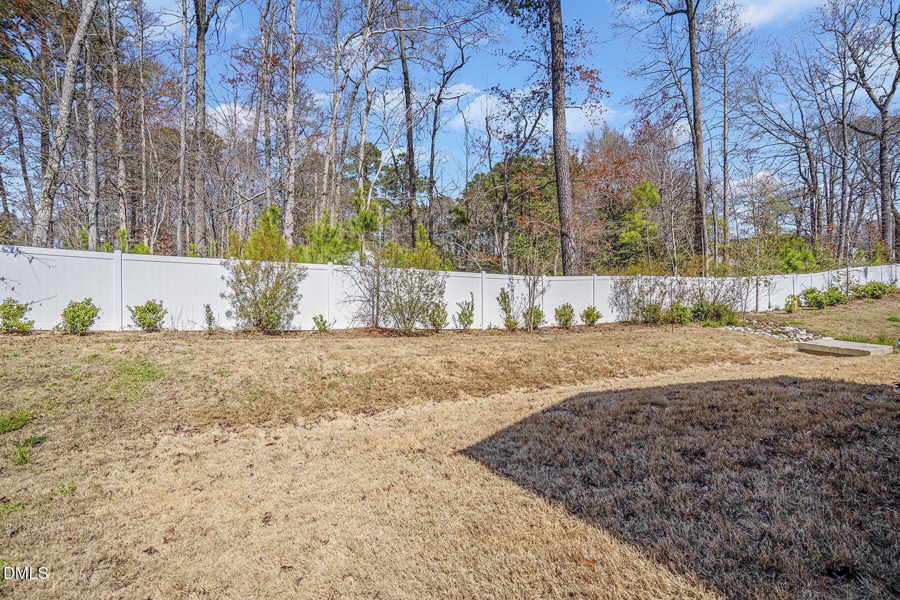 244 Chateau Way Angier, NC 27501 - Photo 27 of 30 a view of a yard