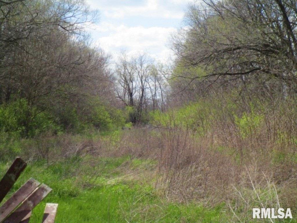 13735 North Manito Road Manito, IL 61546 - Photo 15 of 15 Gallery Image 15