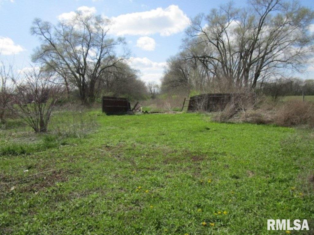 13735 North Manito Road Manito, IL 61546 - Photo 4 of 15 Gallery Image 4