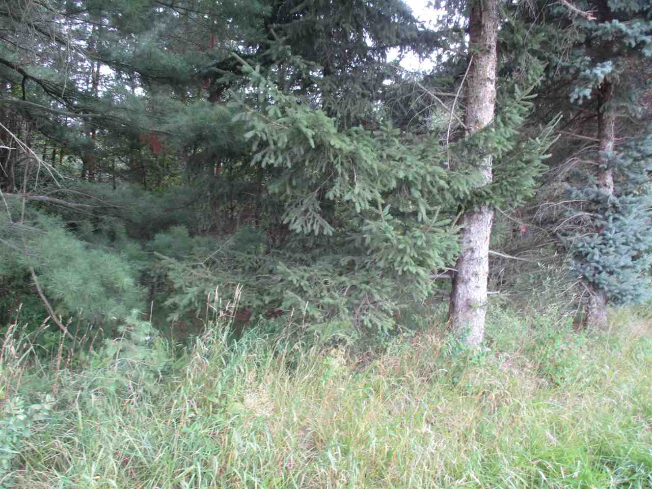 Parcel C North Byron Road Lennon, MI 48449 - Photo 6 of 13
