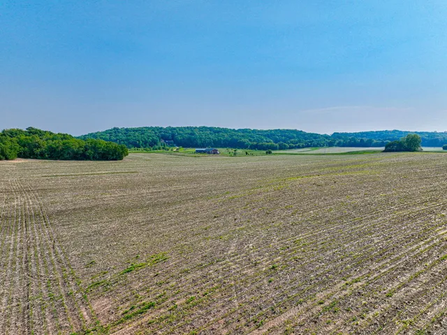 $220,000 | Xxx Xxx 590th St River Falls, Spring Valley, WI 54767