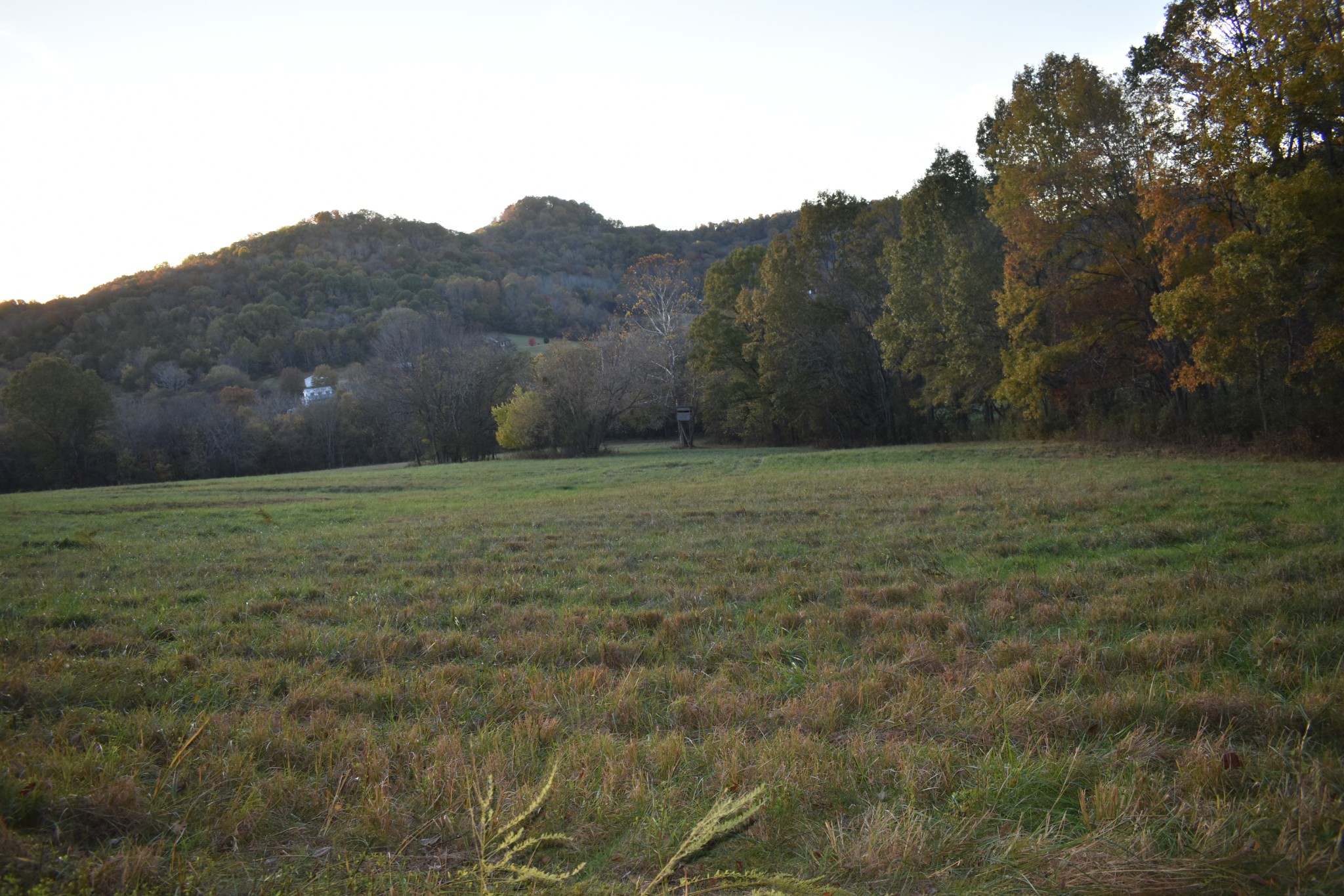 159 Dyer Branch Road Gordonsville, TN 38563 - Photo 14 of 38