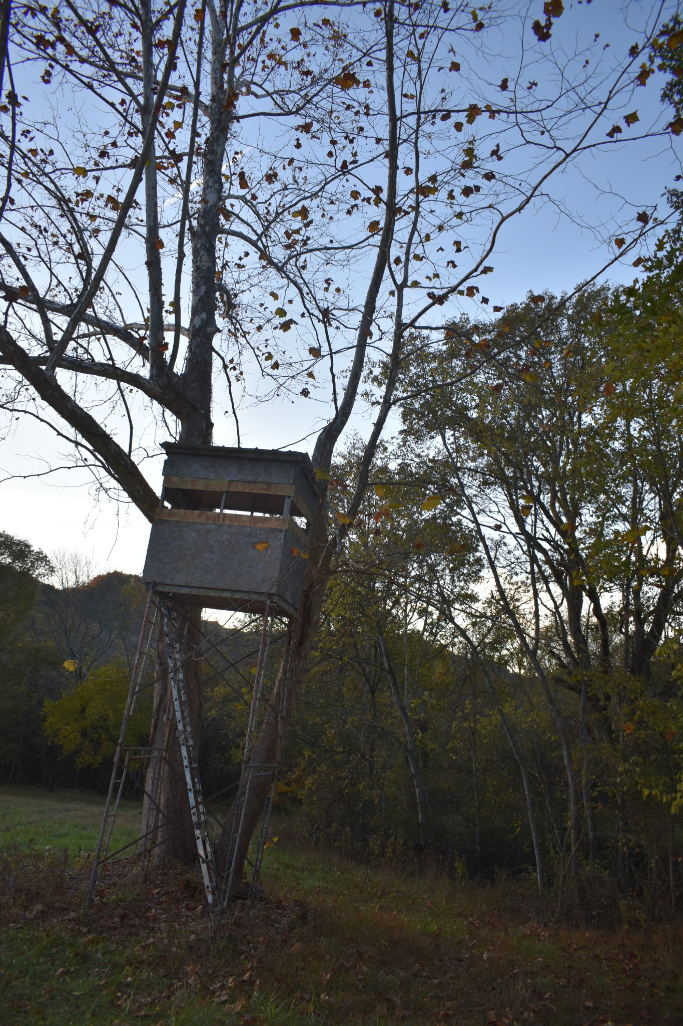 159 Dyer Branch Road Gordonsville, TN 38563 - Photo 16 of 38