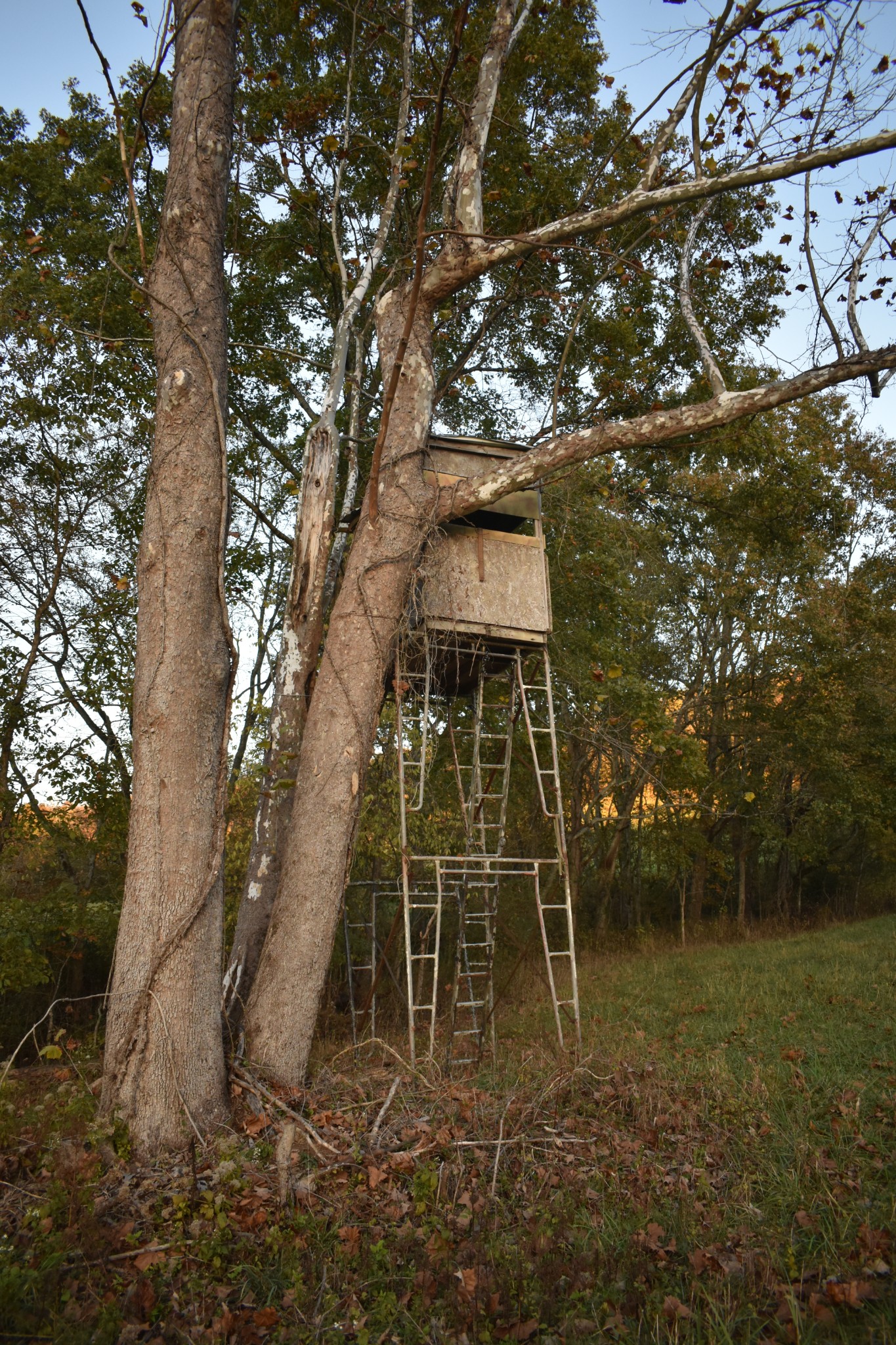 159 Dyer Branch Road Gordonsville, TN 38563 - Photo 17 of 38