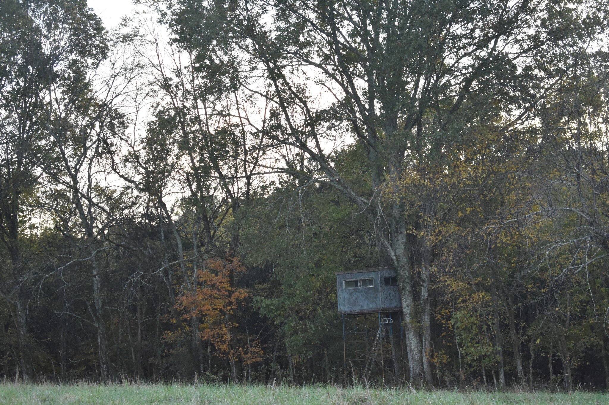 159 Dyer Branch Road Gordonsville, TN 38563 - Photo 20 of 38