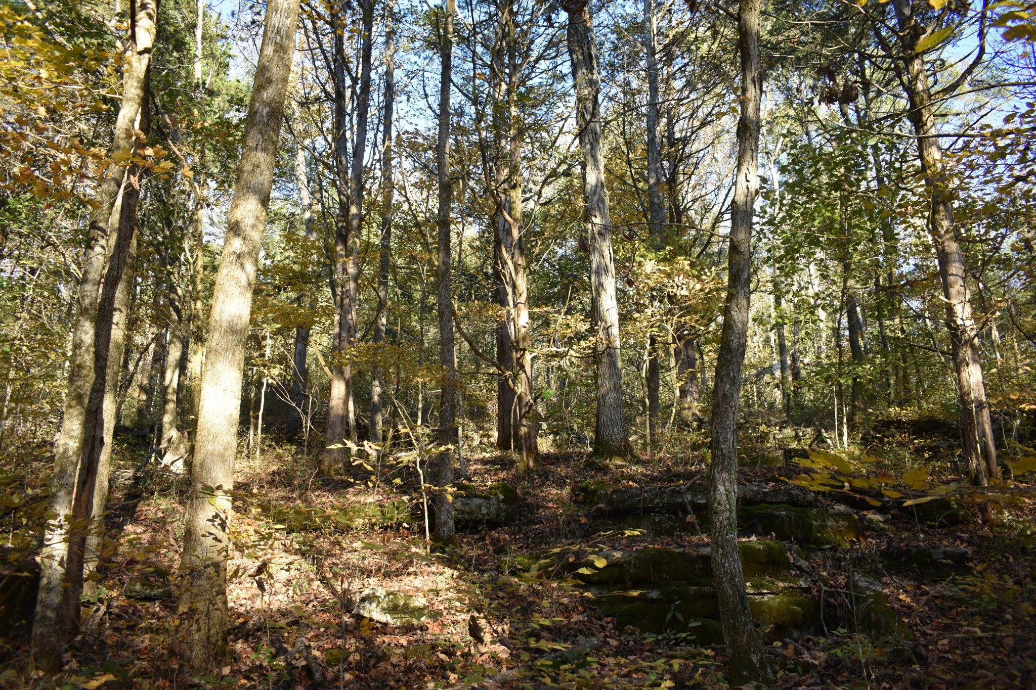 159 Dyer Branch Road Gordonsville, TN 38563 - Photo 8 of 38