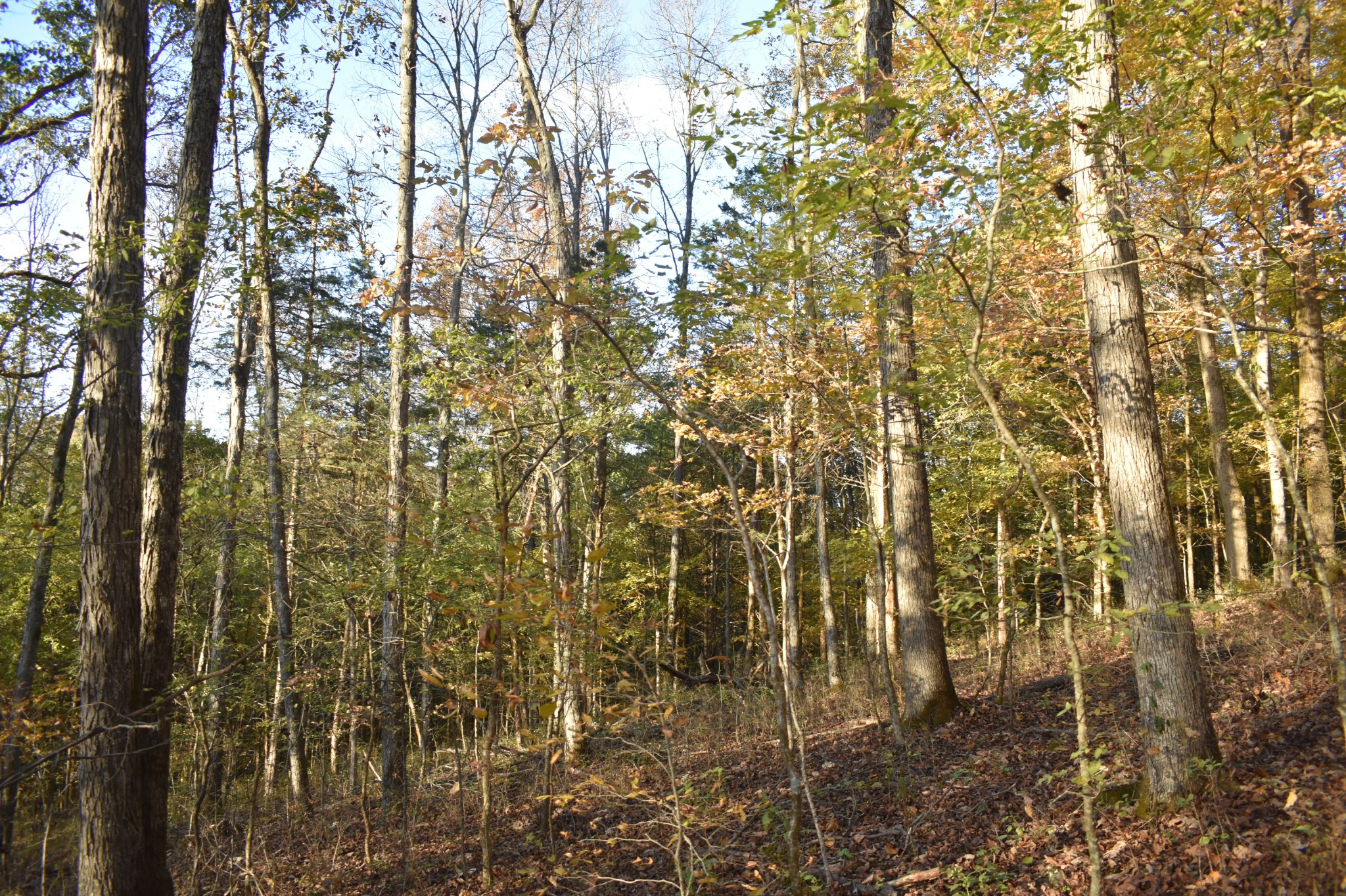 159 Dyer Branch Road Gordonsville, TN 38563 - Photo 9 of 38