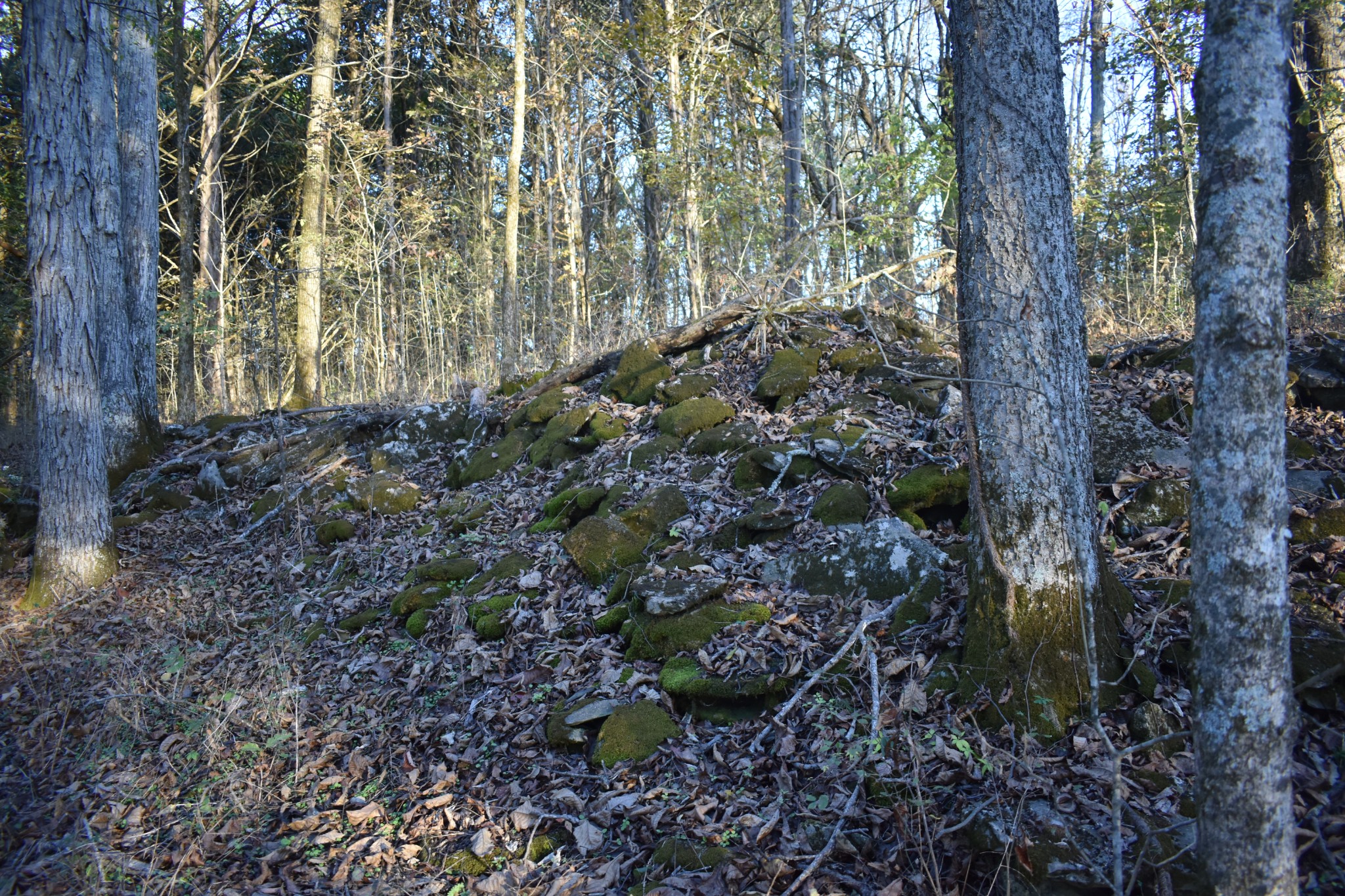 159 Dyer Branch Road Gordonsville, TN 38563 - Photo 10 of 38