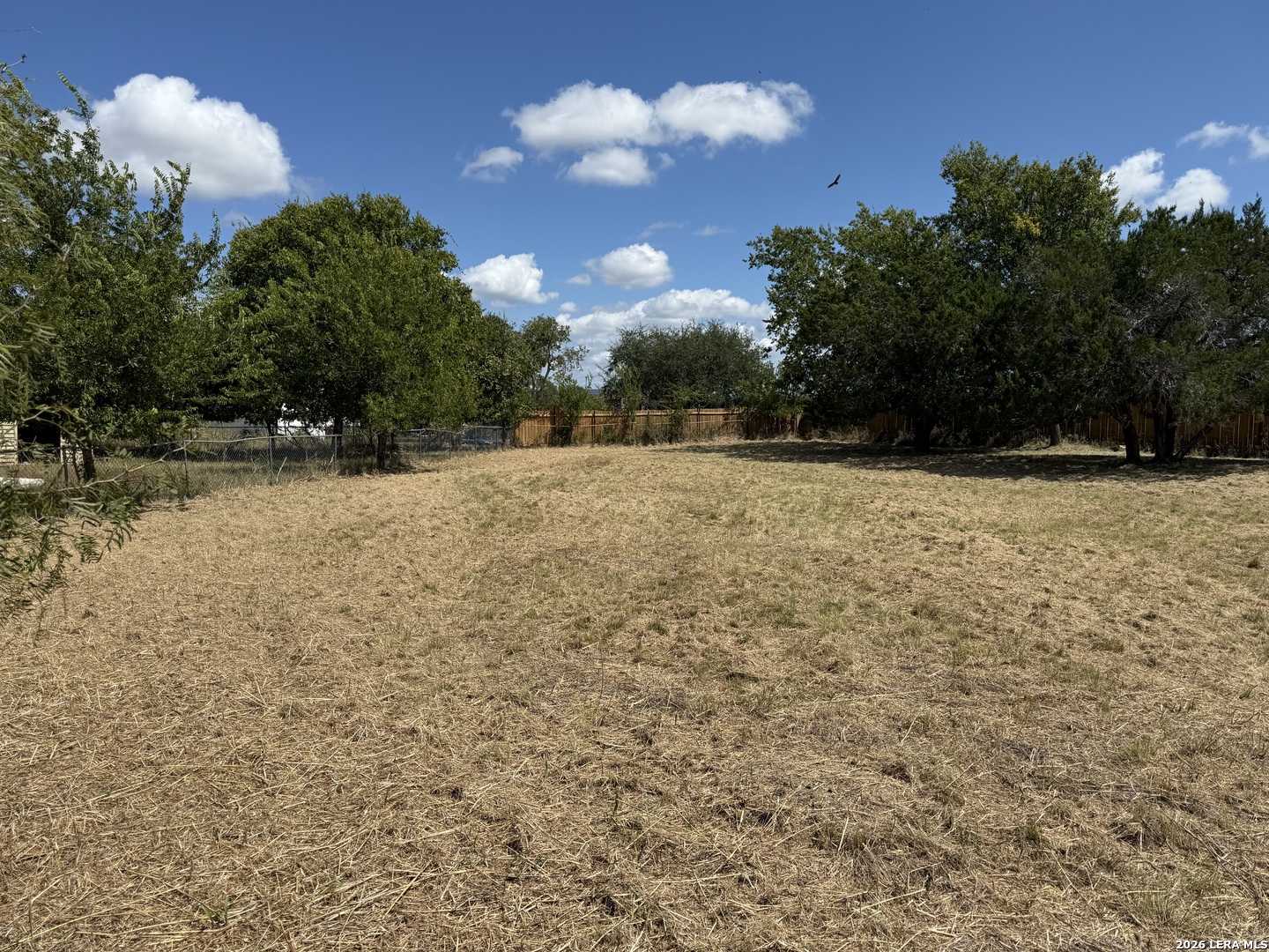 153 Colt Court Bandera, TX 78003 - Photo 2 of 5 a view of a yard with a tree