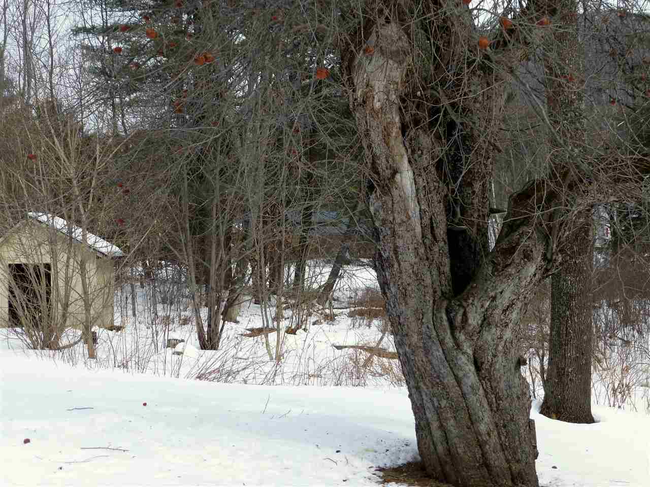 123 South Mendon Road Mendon, VT 05701 - Photo 22 of 27 Gallery Image 22
