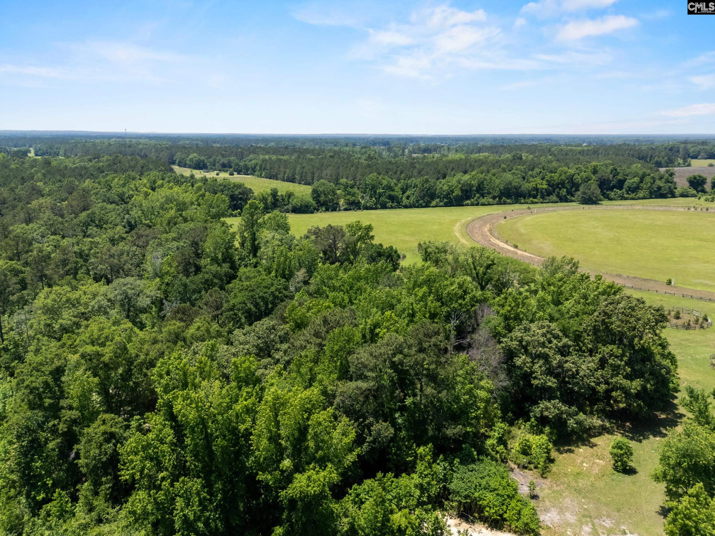 377 Sweet Street Rembert, SC 29128 - Photo 4 of 20