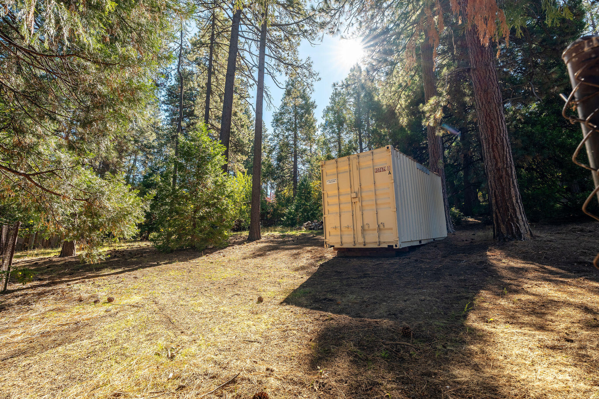53091 Tollgate Road Idyllwild, CA 92549 - Photo 40 of 49 a view of a backyard with large trees