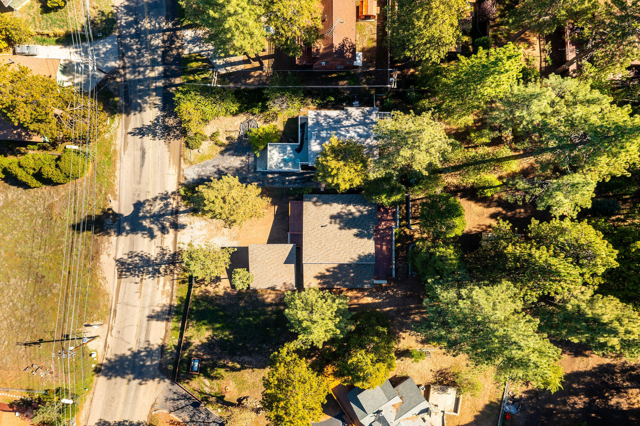 53091 Tollgate Road Idyllwild, CA 92549 - Photo 44 of 49 a view of a tree in front of a house