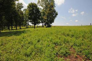2857 Mt Pleasant Road Bedford, IN 47421 - Photo 25 of 26