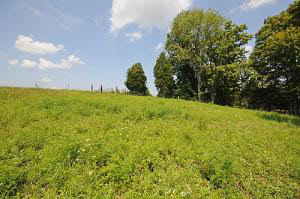 2857 Mt Pleasant Road Bedford, IN 47421 - Photo 5 of 26