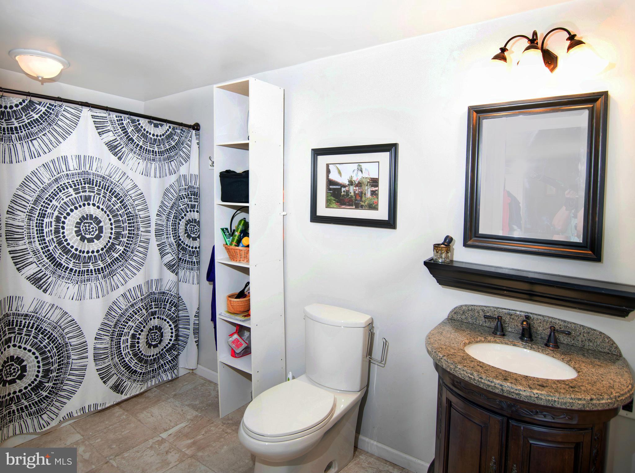217 Sassafrass Road Warwick, MD 21912 - Photo 9 of 25 Bath (Master)