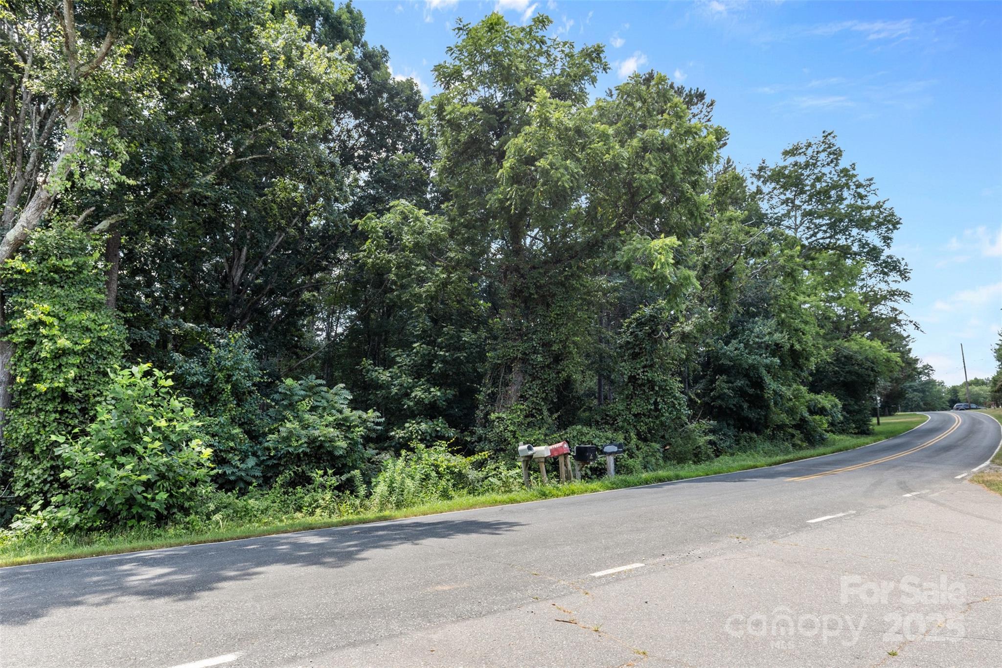 0 Liberty Church Road Hickory, NC 28601 - Photo 6 of 11 a view of a garden with a plants and trees