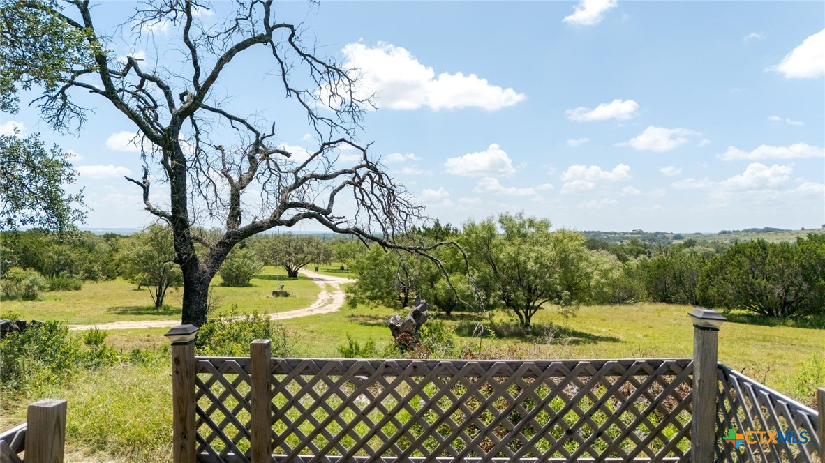 586 Private Road 3448 Kempner, TX 76539 - Photo 25 of 40 a view of a yard with plants and large trees