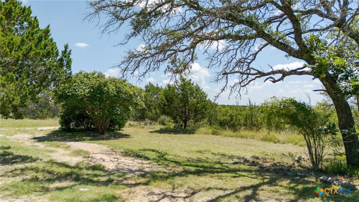 586 Private Road 3448 Kempner, TX 76539 - Photo 28 of 40 a view of yard with trees