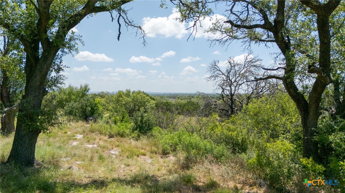 586 Private Road 3448 Kempner, TX 76539 - Photo 33 of 40 a view of a tree in a yard