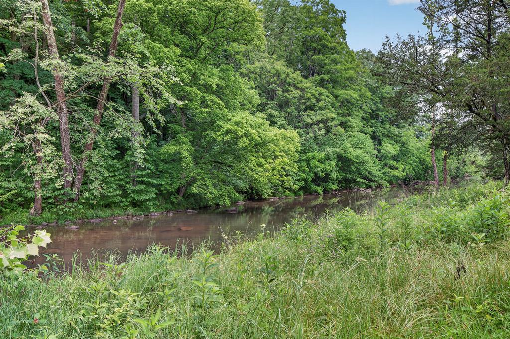 Tbd River Mountain Road Lebanon, VA 24266 - Photo 5 of 20 Gallery Image 5