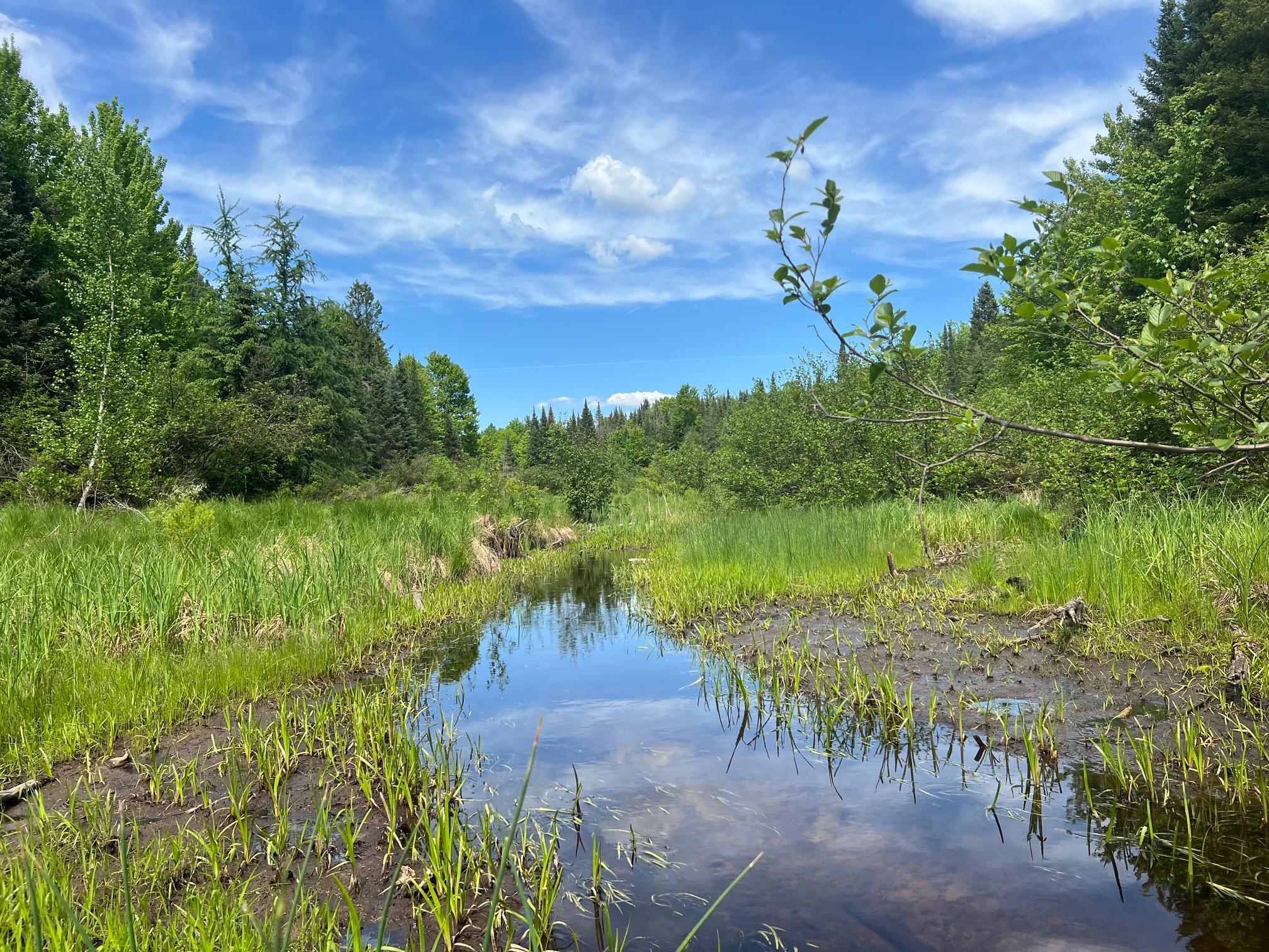 Lot 1 Smith Road North Couderay, WI 54828 - Photo 17 of 29