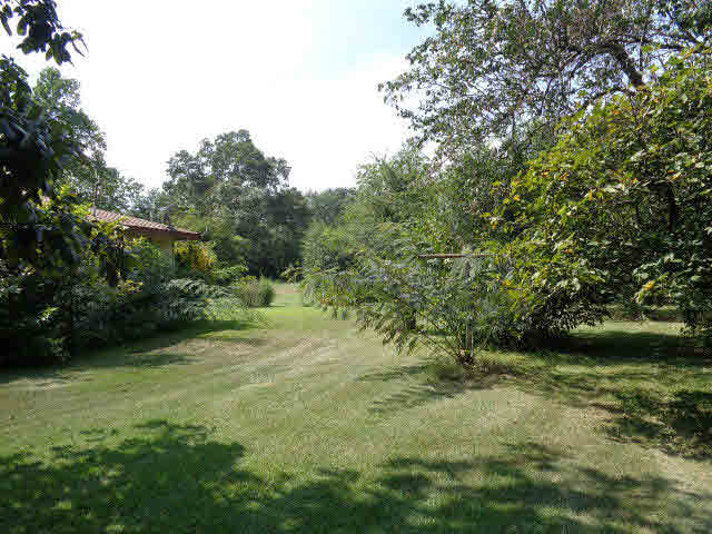 4289 Jeddo Road Uriah, AL 36480 - Photo 2 of 5 Yard View