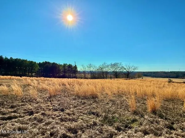 $375,000 | 2007 Hillside Drive, Magnolia, MS 39652