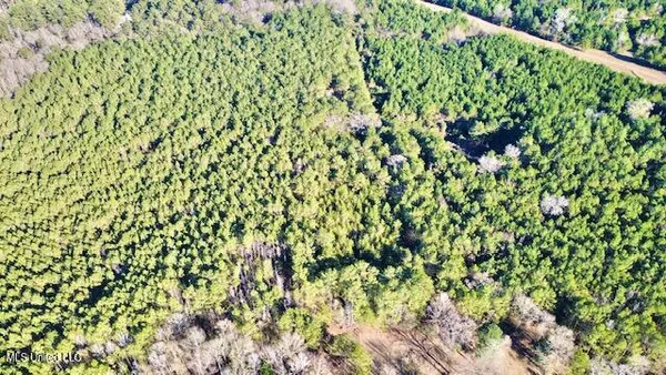 $375,000 | 2007 Hillside Drive, Magnolia, MS 39652