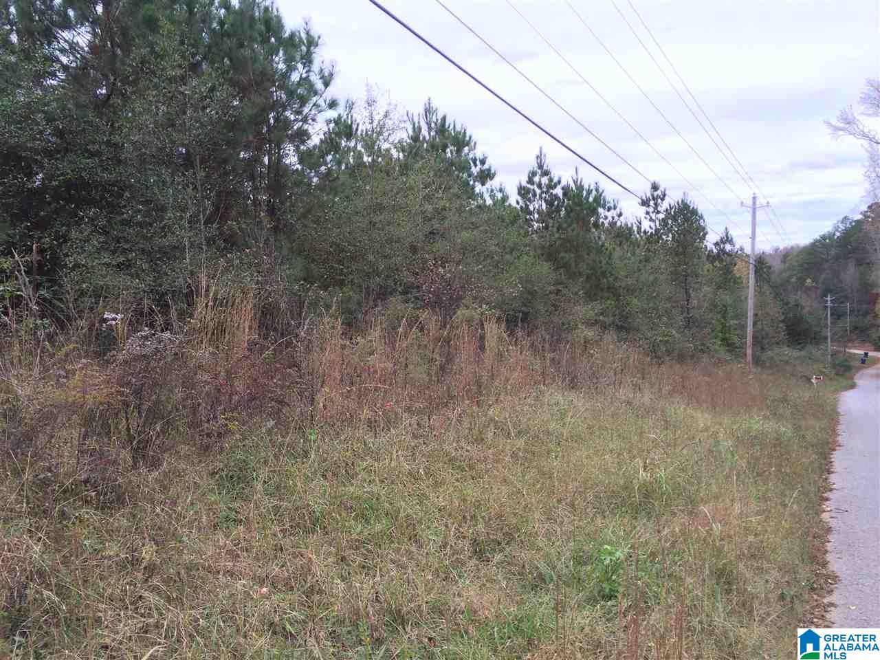 Page Spring Road, Unit 4 Arab, AL 35016 - Photo 3 of 29