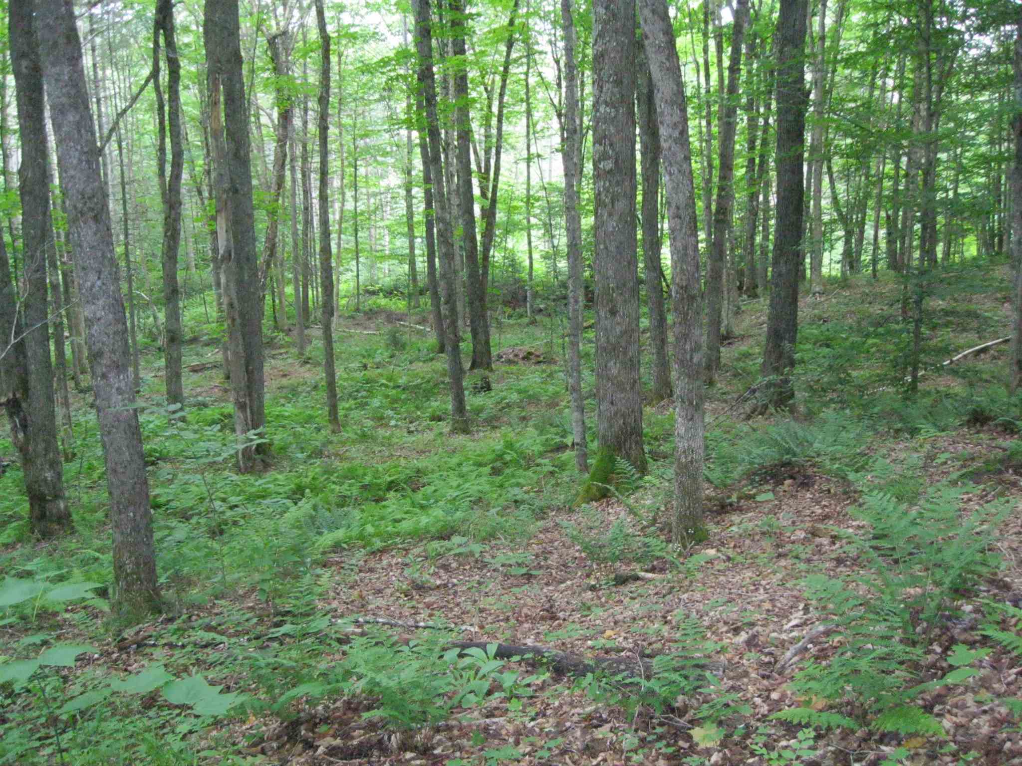 0 Cresent Beach Extension Morgan, VT 05853 - Photo 1 of 7